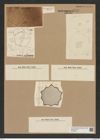 Diatomeae indet. Zeichnungen Sammlung Grunow Nr. 6939 (NHMW-BOT-W0375827)